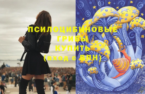 ALPHA PVP Алексин