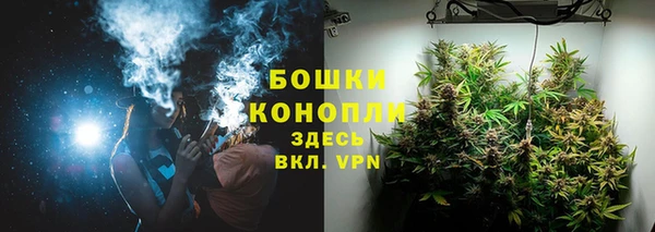 трава Алзамай